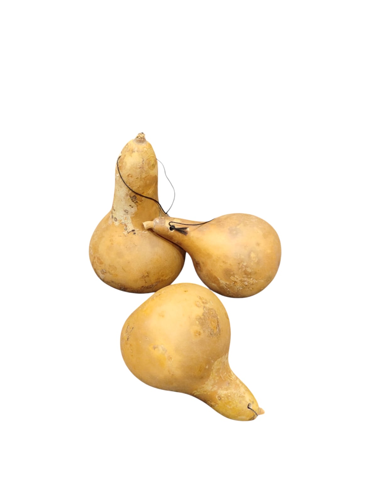 دبية